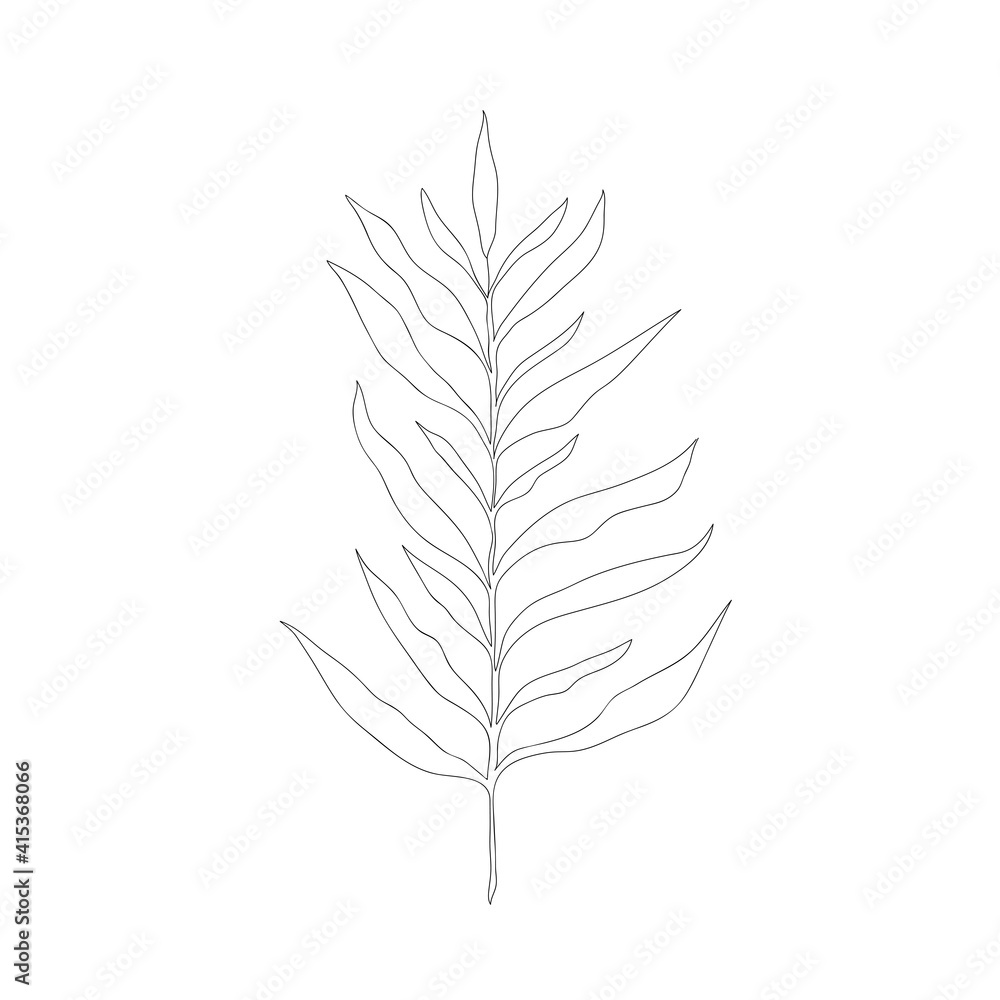Vector doodle branch. Silhouette of plant. Vector doodle branch. Silhouette of plant.