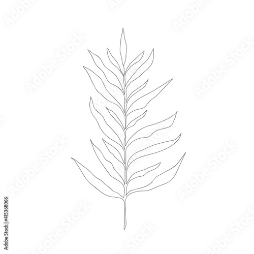 Vector doodle branch. Silhouette of plant.