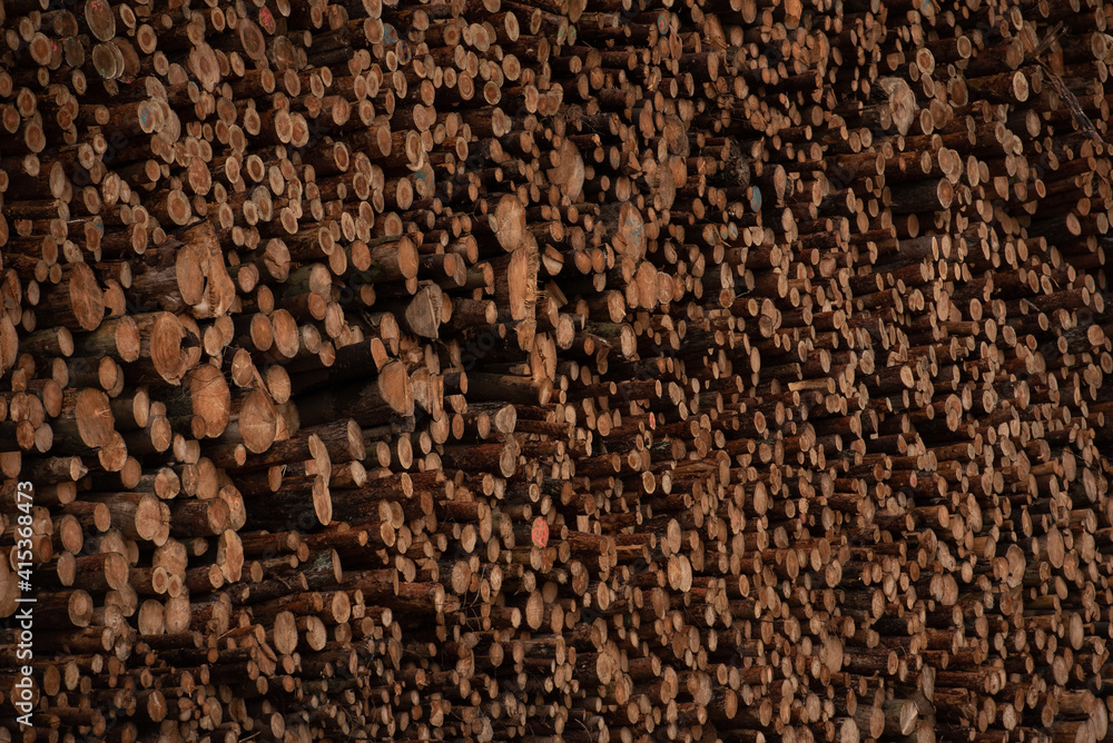Background of cut wood logs stacked in a pile. wood for the production of chipboard Background of cut wood logs stacked in a pile. wood for the production of chipboard