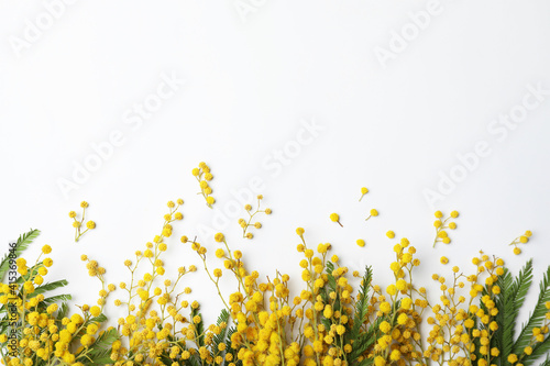 Beautiful mimosa flowers on white background, top view photo