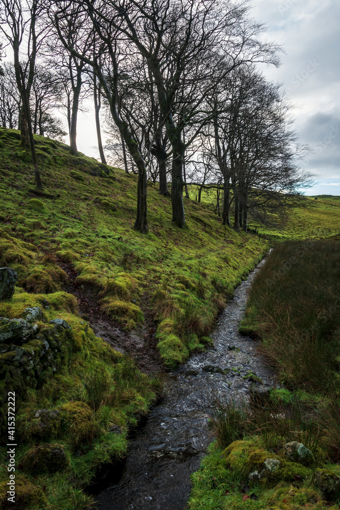 A brook, Johnstone, Renfrewshire, Scotland, UK