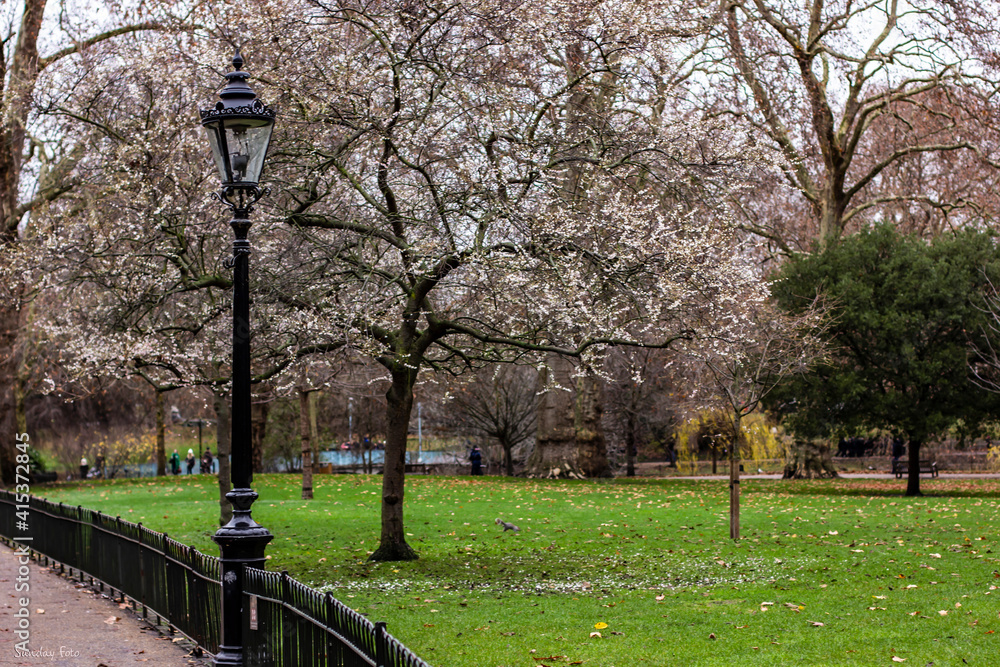 Un parque de Londres