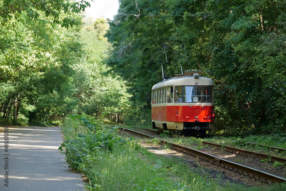 Naklejka premium Tram is going through forest