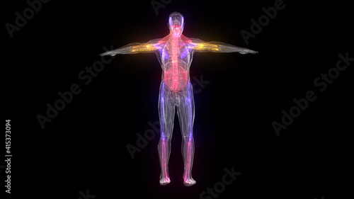 3d illustration of Abstract Male Anatomy isolated in black background. High quality 3d illustration
