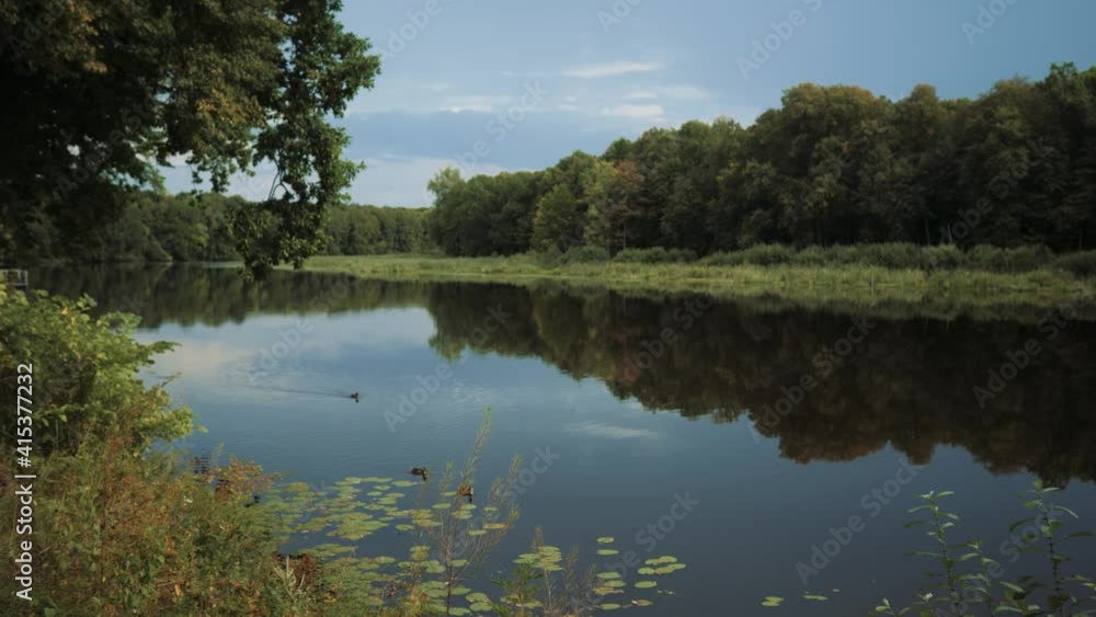 Beautiful summer shot from the bank of a wide river flowing through the forest. High quality FullHD footage Beautiful summer shot from the bank of a wide river flowing through the forest. High quality FullHD footage