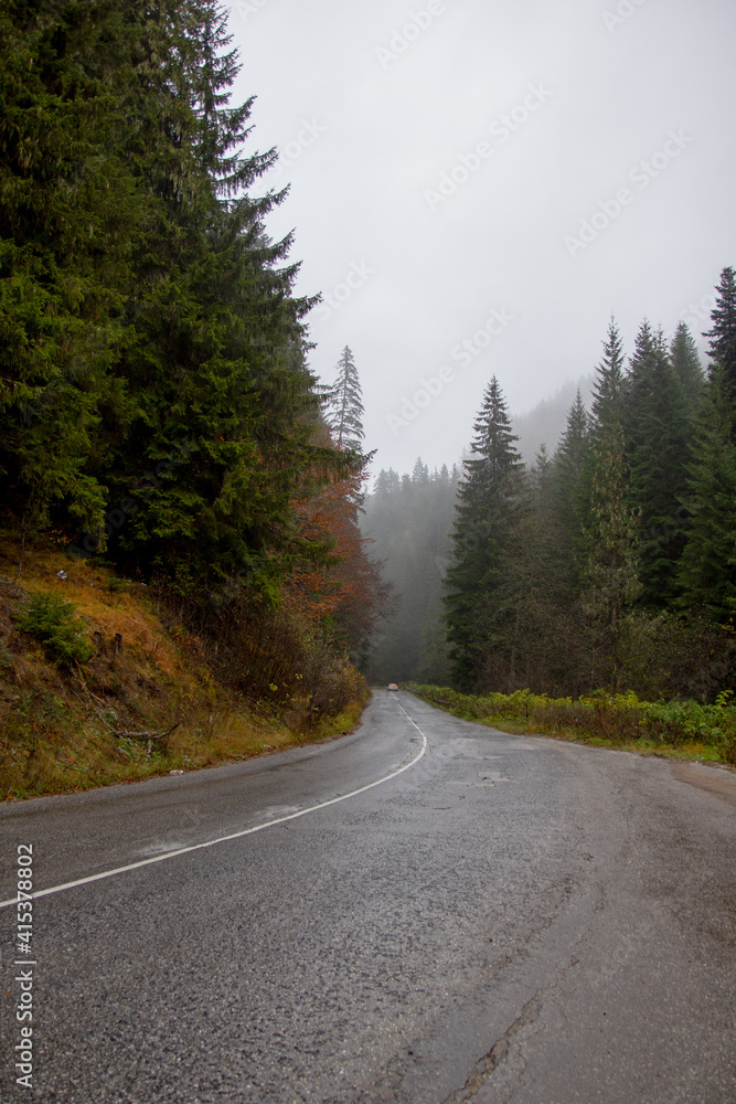 Naklejka premium the road in the fog in the mountains in the forest in autumn
