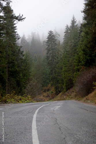 the road in the fog in the mountains in the forest in autumn