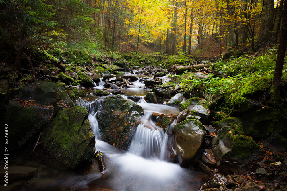 Naklejka premium Gorczański Park Narodowy