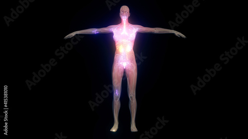 3d Rendered Illustration of Female body scanning. High quality 3d illustration