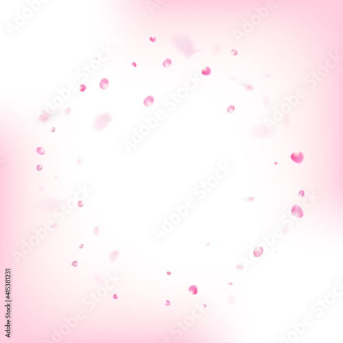 Rose Petals Flying Confetti. Flying Japanese Sakura Rose Cherry