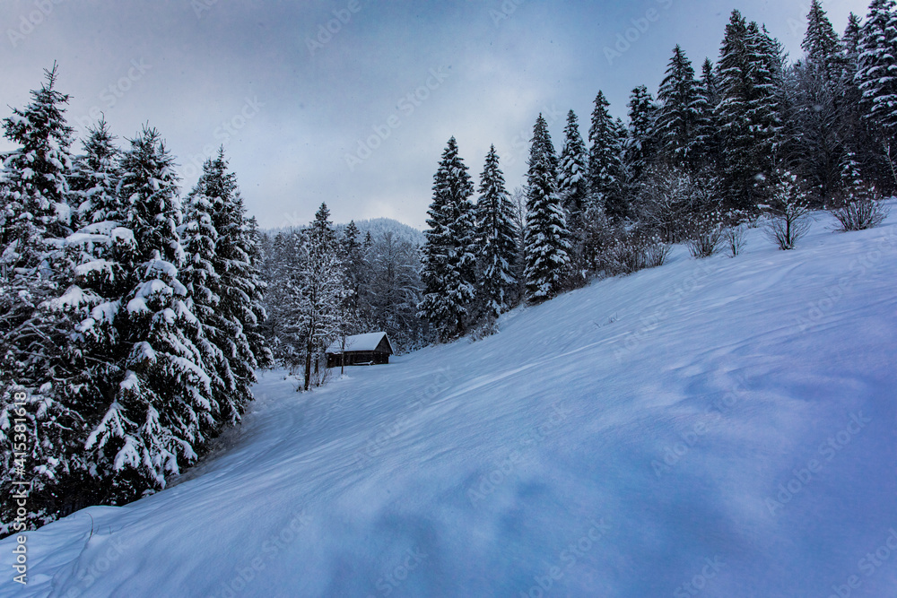 Fototapeta premium the old wooden house in the snowy forest