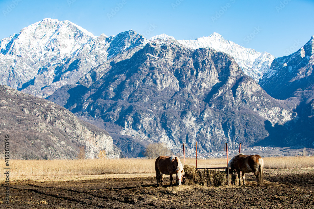 Fototapeta premium Pian di Spagna con montagne e animali