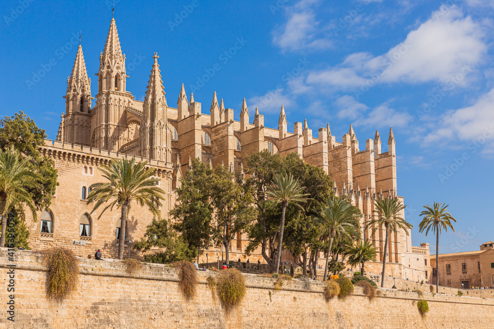 Catedral-Basílica de Santa María de Mallorca, Cathedral in Palma de Mallorca