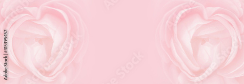 Heart shaped pink rose. Flower blurred banner background. Close-up petals soft pastel color. Beauty wedding, tenderness, love concept