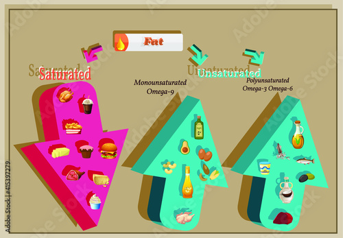 Vector Infographic: Proper Nutrition Saturated Unsaturated Fat. In c format. A card for a nutritionist.