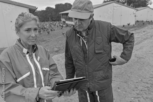Veterinary and female farmer analysing the growth of the chicken breeding on a digital  tablet