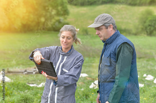 Quadro su tela Agricultural breeders  analyze the growth of their ducks on a digital tablet in
