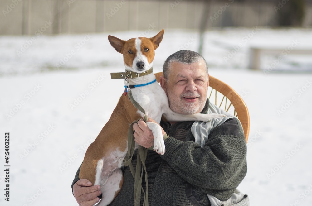 Winter outdoor portrait of basenji dog on the hands of Caucasian senior man. The dog is proud and looking straight to camera Winter outdoor portrait of basenji dog on the hands of Caucasian senior man. The dog is proud and looking straight to camera