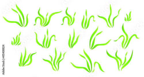 Green grass, grass bushes.Vector illustration.