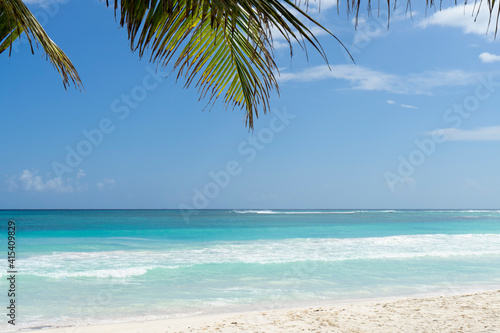 A beautiful panoramic view of a Caribbean beach in Mexico with palm trees  blue sky  and the Ocean in the background. Travel and vacation concept