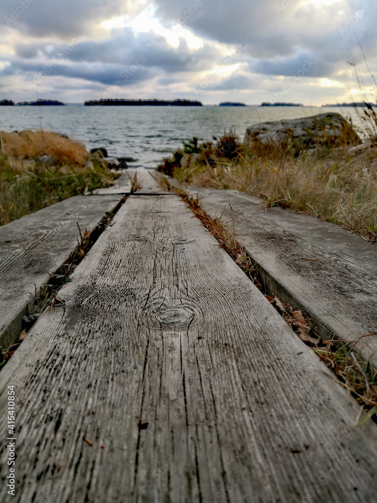 Fototapeta premium Long tree to the sea 