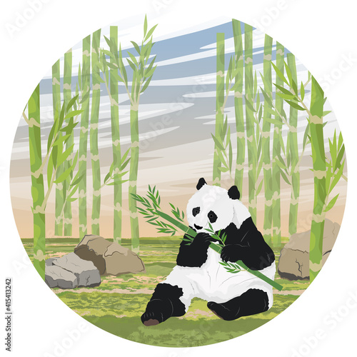 Round composition. A large panda nibbles on a juicy stalk of bamboo. Asian animals. Bamboo grove. China Realistic vector landscape