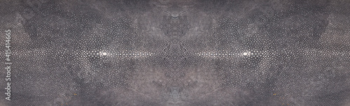 Photography Tanned grey raw stingray skin isolated on white background