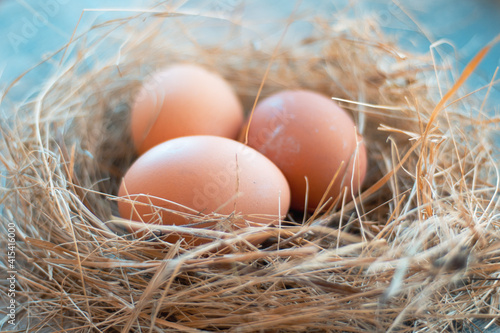 Easter eggs in nest on wooden background. Minimal easter concept. Easter card with copy space for text.