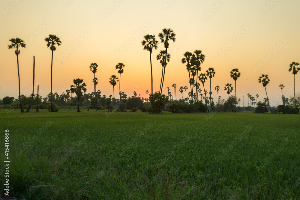 Dongtan Sam Khok, Pathum Thani, watching the sunset view