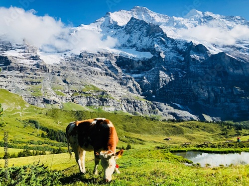 Wallpaper Mural In the stopped train Torontodigital.ca