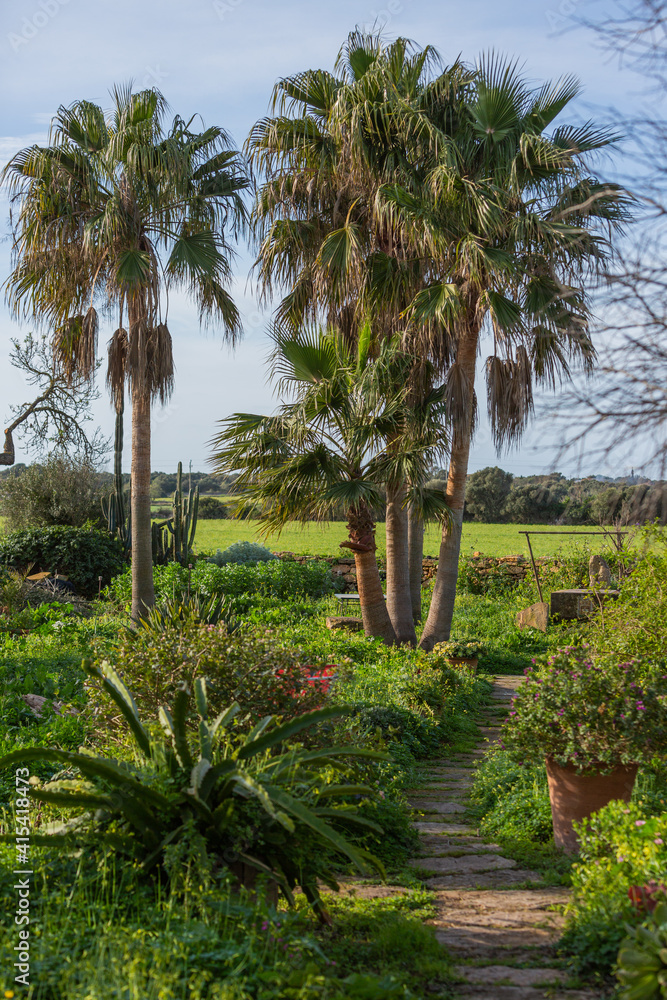 Fototapeta premium Mallorca