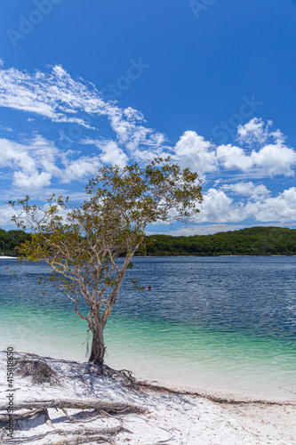Fototapeta Naklejka Na Ścianę i Meble -  Lake McKenzie on Fraser Island in Queensland, Australia