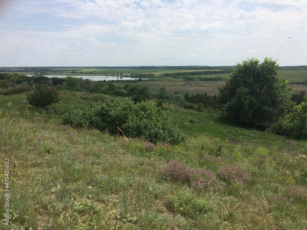 steppe landscape grass bushes lake steppe landscape grass bushes lake
