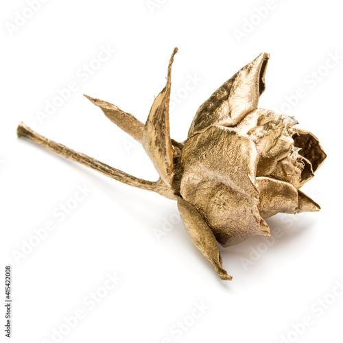 One gold rose isolated on white background cutout. Golden dried flower head, romance concept.