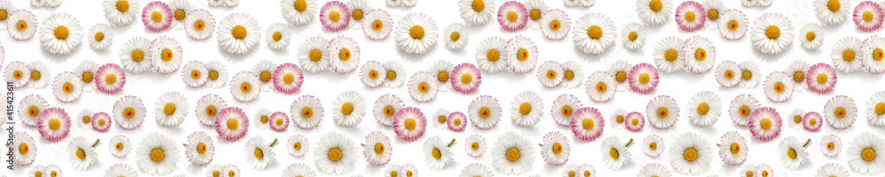 Beautiful daisy flowers background, banner Beautiful daisy flowers background, banner