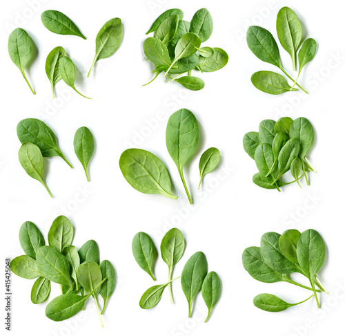 Photos fresh green spinach leaves