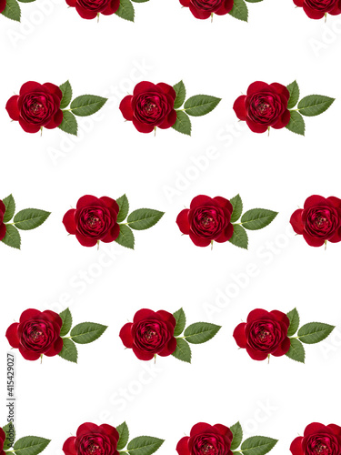 Fototapeta Naklejka Na Ścianę i Meble -  one red rose flower with leaves isolated on white background cutout. Floral seamless pattern.