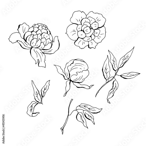 Set of peons with leaves. Vector illustration.