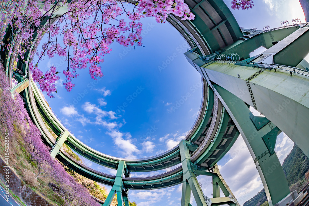 Fototapeta premium 静岡県賀茂郡河津町 河津ループ橋と上条の河津桜