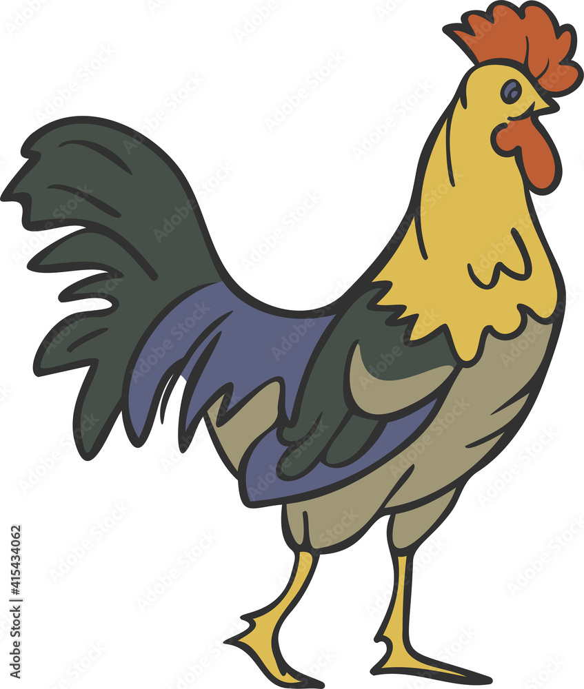 Vector illustration of farm rooster isolated on a white background.