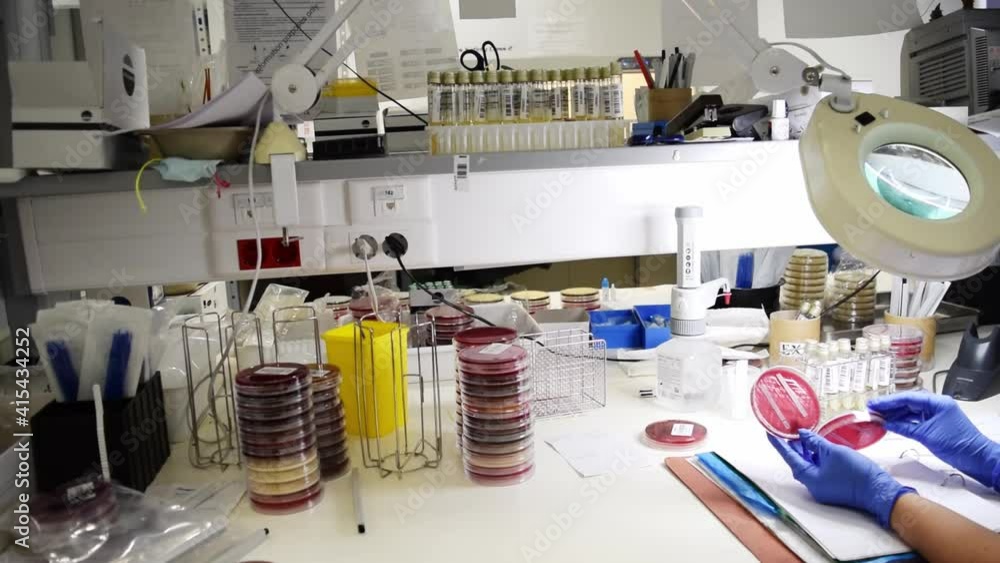 Estudiar la ciencia par ayudar a la sociedad.