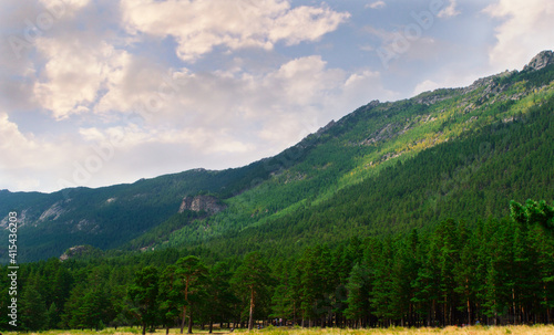 Summer landscape with high mountains, dense coniferous forest at the foot of the mountains.