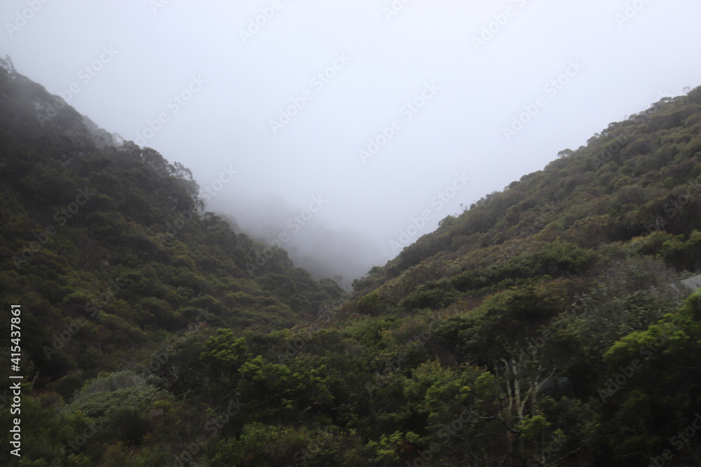 Fototapeta premium landscape with clouds