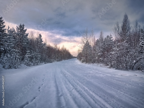 Winter landscape sunset in the forest with snowy field in the foreground. © Anatoliy