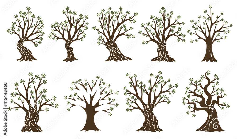 Collection of olive tree with branches and green leaves. Hand drawn ...