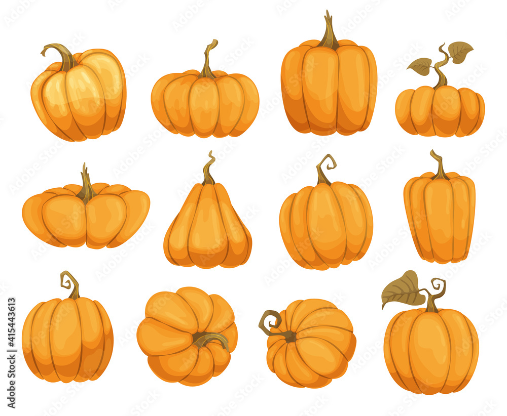 Cartoon pumpkin flat icons set. Orange and yellow autumn pumpkins. Different shapes and sizes of pumpkin or gourd vegetable. Collection farm harvest vegetables fresh and tasty