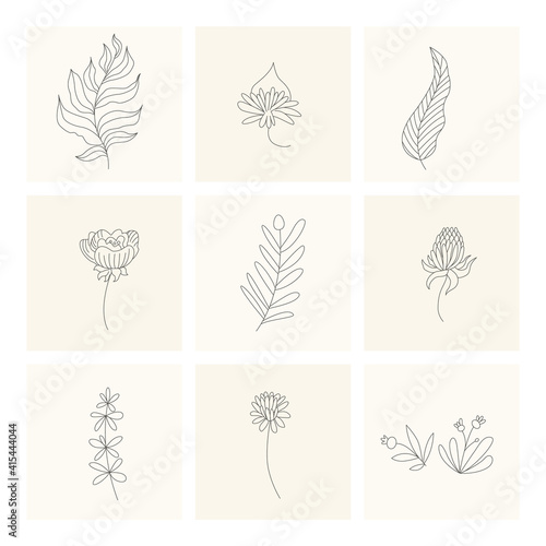 Floral elements. Collection of hand drawn plants. Set design elements in sketch style flowers and branches. Botanical icons © designer_things