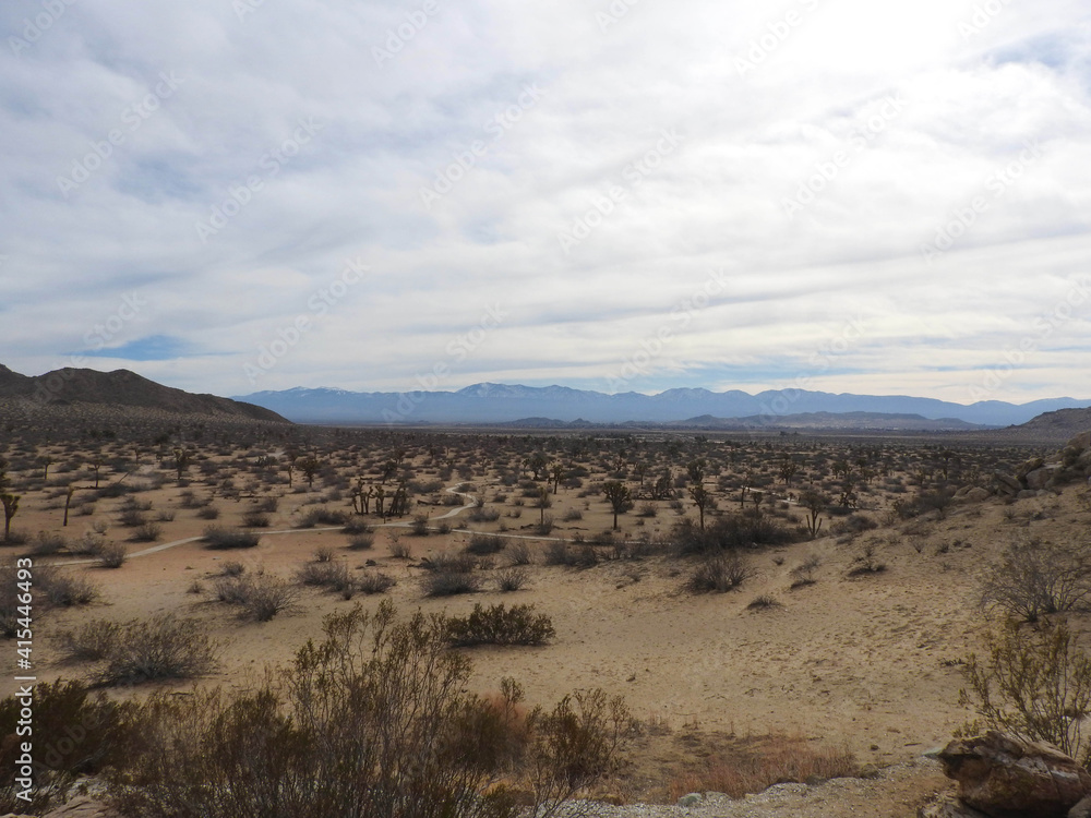 Scenic Mojave desert with the San Gabriel Mountains in the background, in California. Scenic Mojave desert with the San Gabriel Mountains in the background, in California.