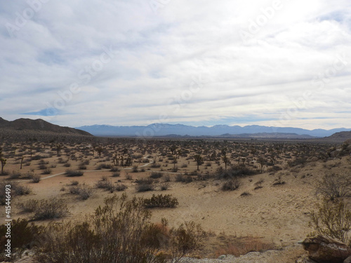 Scenic Mojave desert with the San Gabriel Mountains in the background, in California.