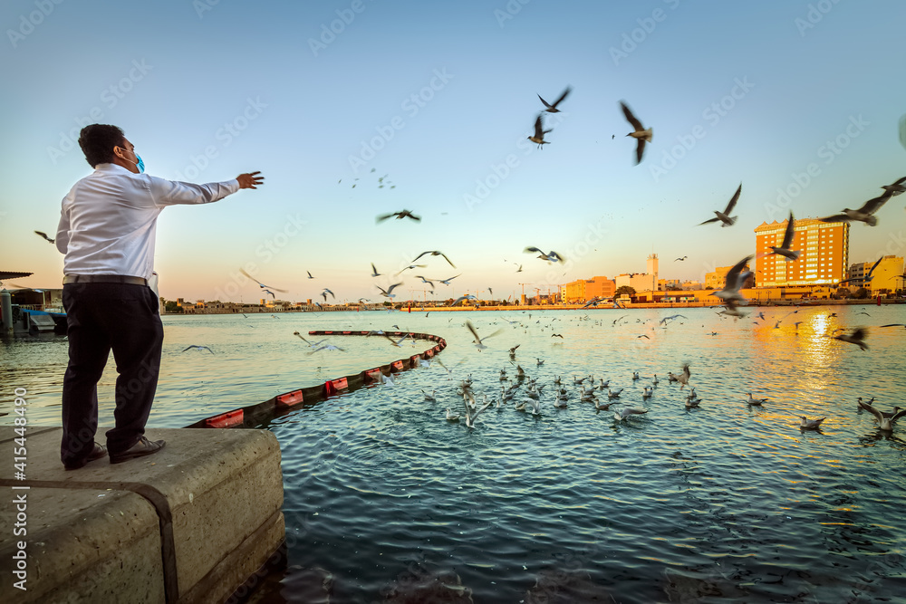 Naklejka premium Beautiful shot of seagull birds on the blue water at Dubai Creek, United Arab Emirates.